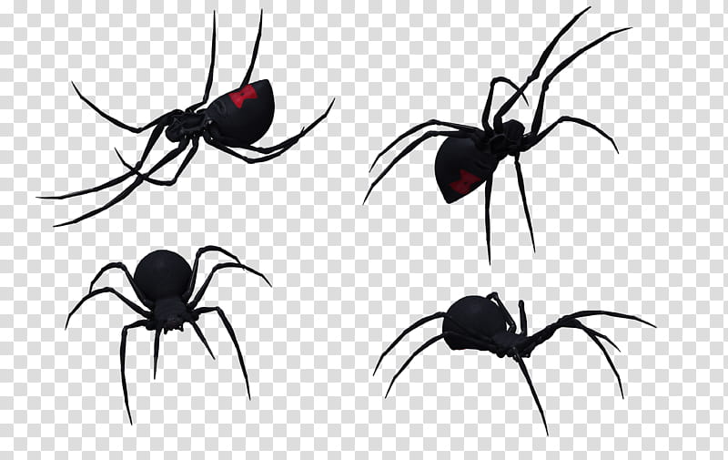 Black Widow Spider Set , black spider stickers transparent background PNG clipart