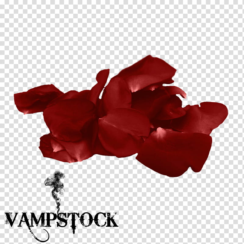 Rose Petal  Vamp, red rose petals with text overlay transparent background PNG clipart
