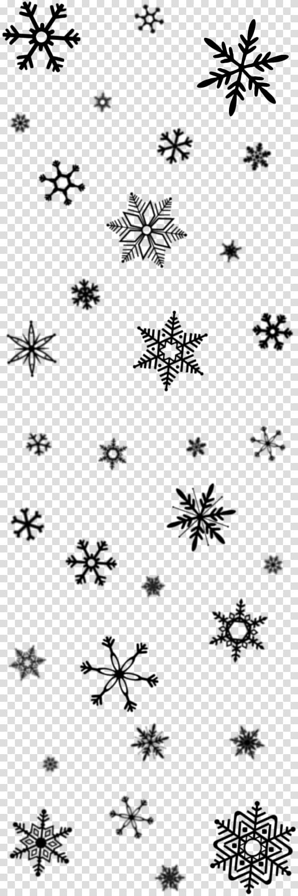 Snowflake, Black White M, Line, Point, Angle, Tree, Sky, Blackandwhite transparent background PNG clipart
