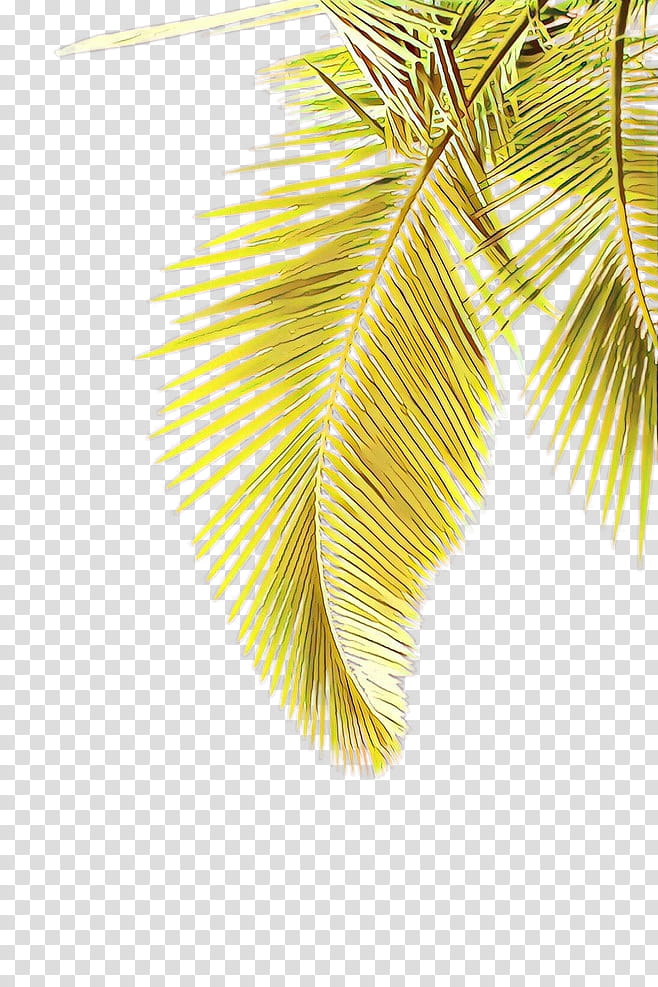 Palm tree, Cartoon, Yellow, Plant, Branch, Arecales, Fashion Accessory, Feather transparent background PNG clipart