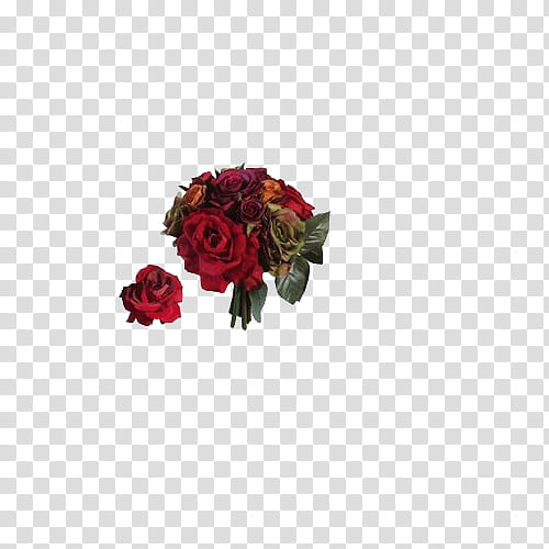 Vintage Flora Items, red rose beside bouquet of roses illustration transparent background PNG clipart