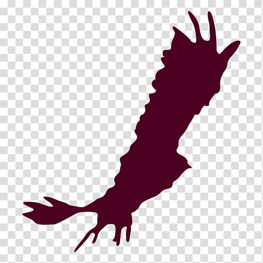 Eagle, Bird, Flight, Feather, Bird Of Prey, Silhouette, Shadow, Hawk transparent background PNG clipart