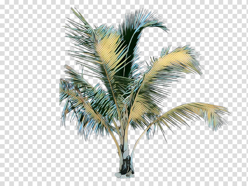 Date Tree Leaf, Pop Art, Retro, Vintage, Palm Trees, Plants, Mexican Fan Palm, Areca Palm transparent background PNG clipart