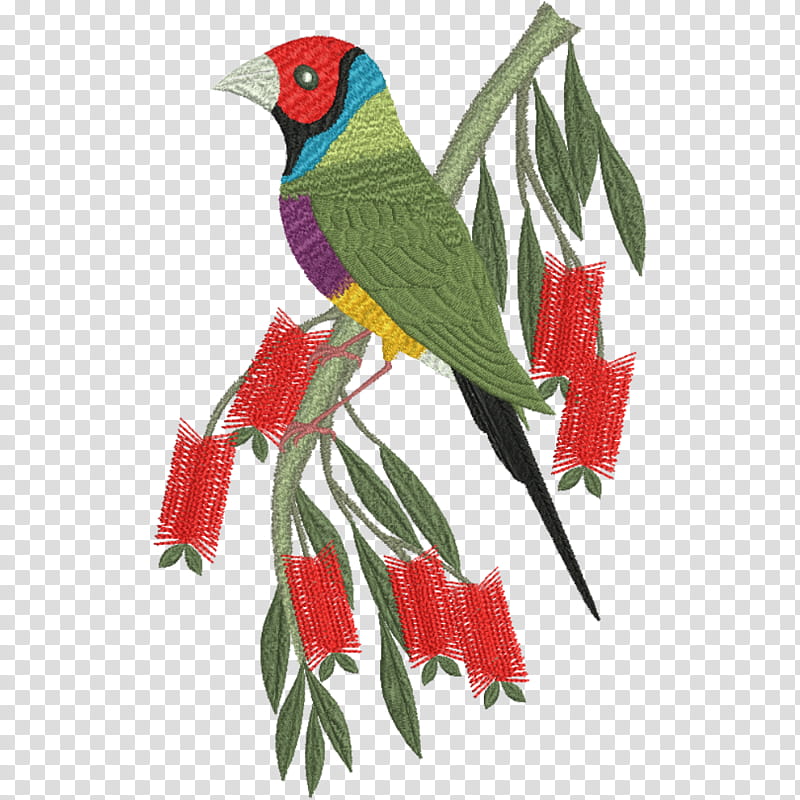 Bird Of Paradise, Budgerigar, Parrot, Loriini, Beak, Macaw, Embroidery, Machine Embroidery transparent background PNG clipart