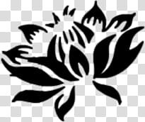 Lamoure Brushes , black petaled flower sketch transparent background PNG clipart