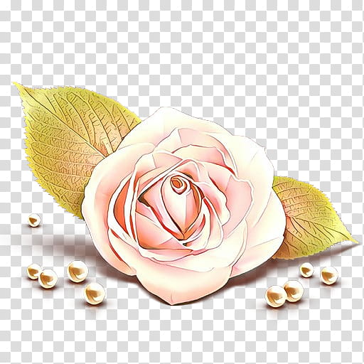 Garden roses, Pink, Petal, Flower, Rose Family, Plant, Rose Order, Hybrid Tea Rose transparent background PNG clipart