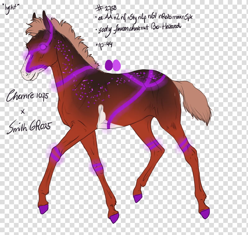 Wolf, Mustang, Stallion, Foal, Mane, Pony, Mare, Colt transparent background PNG clipart