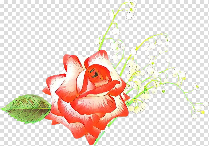 Garden roses, Cartoon, Red, Pink, Petal, Flower, Plant transparent background PNG clipart