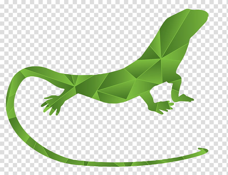 Plant Leaf, Lizard, Amphibians, School
, Climbing, Character, Youth, Confidence transparent background PNG clipart