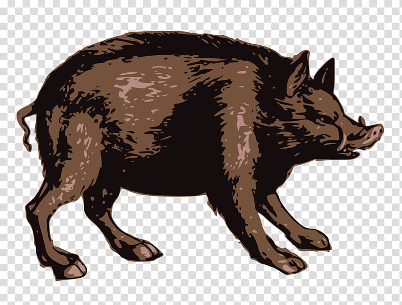 Pig, Wild Boar, Peccary, Suidae, Live, Hyena, Wildlife transparent background PNG clipart