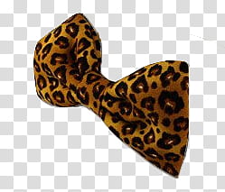 Bows, brown and black leopard print bow transparent background PNG clipart