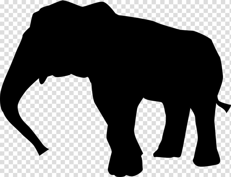 Indian Flag, Asian Elephant, African Elephant, Flag Of Thailand, White Elephant, Animal, Elephants In Kerala Culture, Thai Language transparent background PNG clipart