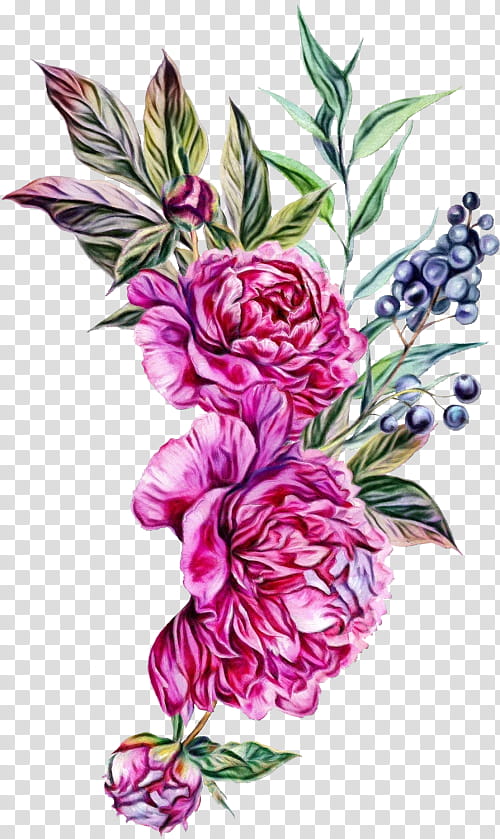 Bouquet Of Flowers Drawing, Peony, Flower Bouquet, Floral Design, Pink Flowers, Rose, Moutan Peony, Garden Roses transparent background PNG clipart