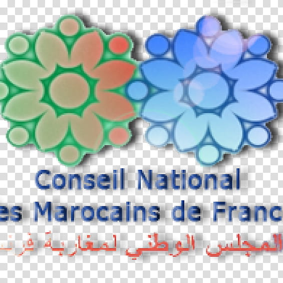 Flower, France, Organization, Text, Convention, Form, Experience, Regions Of France transparent background PNG clipart