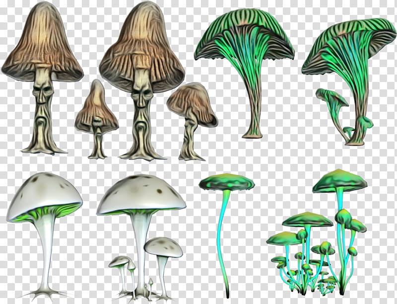 Mushroom, Psilocybin Mushroom, Magic Mushrooms, Psilocybe Mexicana, Fungus, Drawing, Fly Agaric, Common Mushroom transparent background PNG clipart