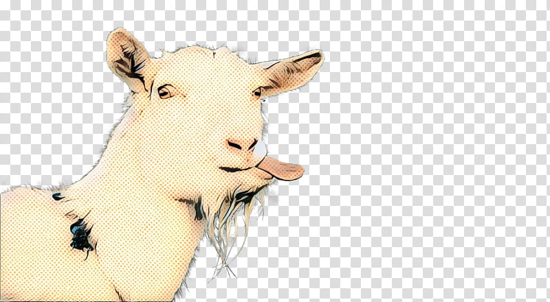 Drawing Of Family, Cattle, Goat, Ear, Snout, Head, Nose, Goats transparent background PNG clipart