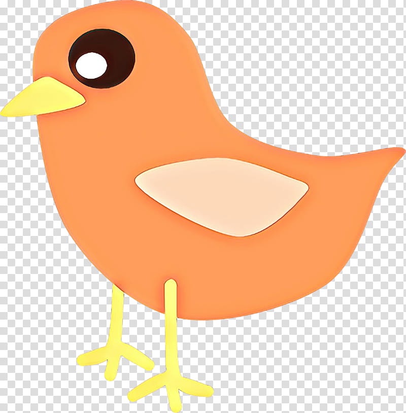 Orange, Cartoon, Bird, Beak transparent background PNG clipart