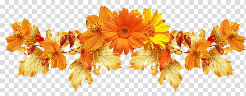 Flowers, BORDERS AND FRAMES, Orange, Desktop , Floral Design, Frames, Rose, Resolution transparent background PNG clipart