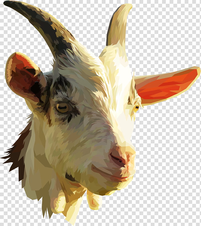 Goat, Nigerian Dwarf Goat, Pygmy Goat, Spanish Goat, Boer Goat, Sheep, Kambing Jawa, Goat Farming transparent background PNG clipart