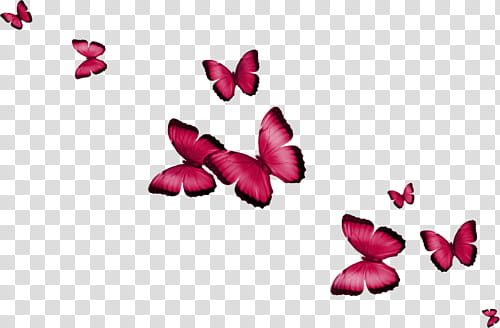 red butterfly illustrations transparent background PNG clipart