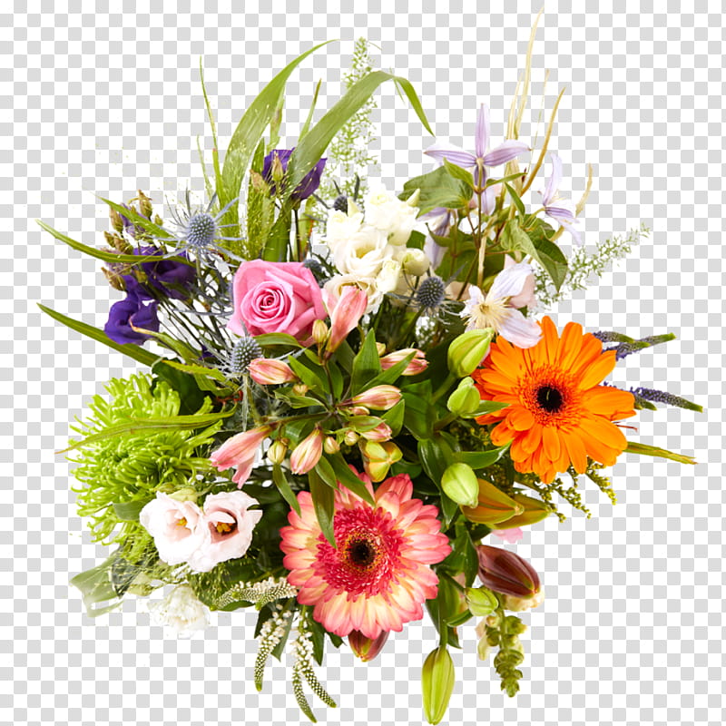 Pink Flowers, Kherson State University, Floral Design, Flower Bouquet, Cut Flowers, Interflora, Transvaal Daisy, Petal transparent background PNG clipart