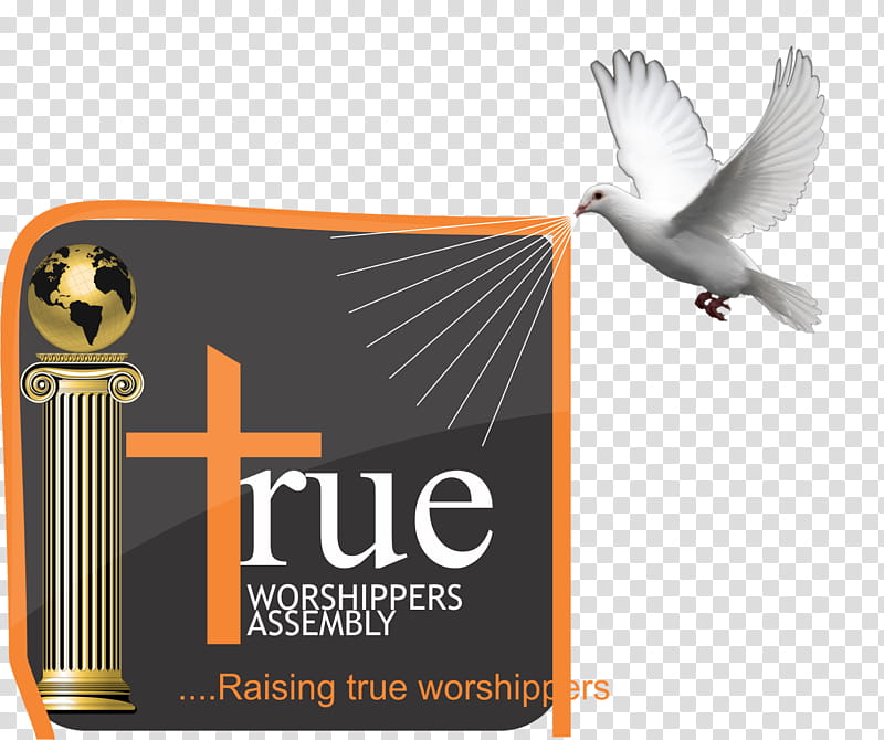 Church, Logo, Advertising, Beak, Love, Alok transparent background PNG clipart
