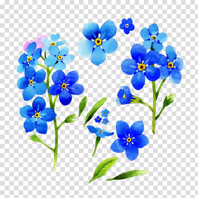 alpine forget-me-not flower forget-me-not blue plant, Alpine Forgetmenot, Water Forget Me Not, Petal, Borage Family transparent background PNG clipart