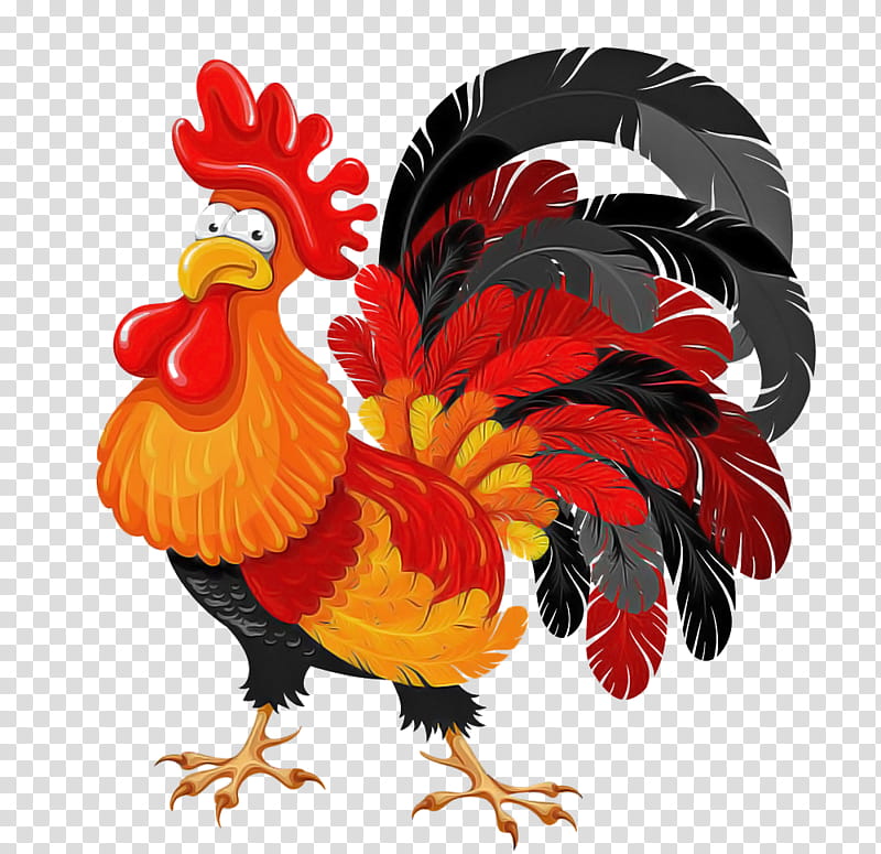 chicken rooster bird comb fowl, Live, Poultry, Beak, Tail, Wing transparent background PNG clipart