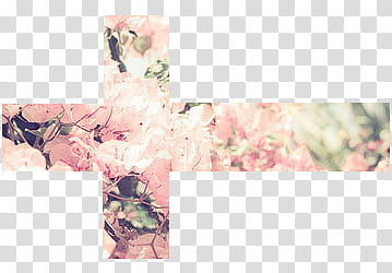 Crosses , pink flowers transparent background PNG clipart