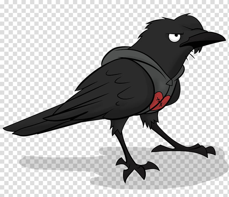Bird, American Crow, Common Raven, Beak, Fish Crow, Crowlike Bird, Perching Bird, Songbird transparent background PNG clipart