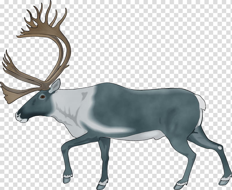 Reindeer, Watercolor, Paint, Wet Ink, Elk, Antler, Antelope, Wildlife transparent background PNG clipart