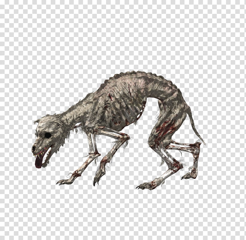 Undead Dogs xps mmd, gray skeleton of animal illustration transparent background PNG clipart