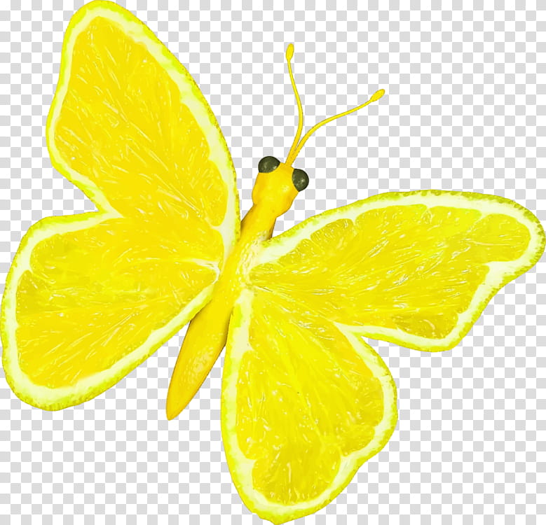 Cartoon Lemon, Butterfly, Lime Butterfly, Insect, Orange, Fruit, Citrus Swallowtail, Swallowtails transparent background PNG clipart