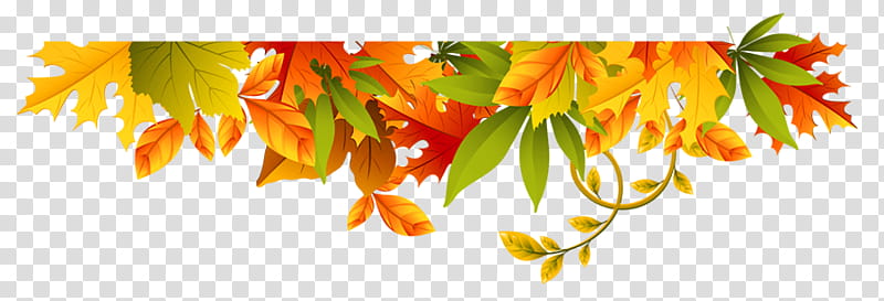 Autumn Tree Branch, BORDERS AND FRAMES, Seasonal , Flower, Autumn Leaf Color, Orange, Yellow, Plant transparent background PNG clipart
