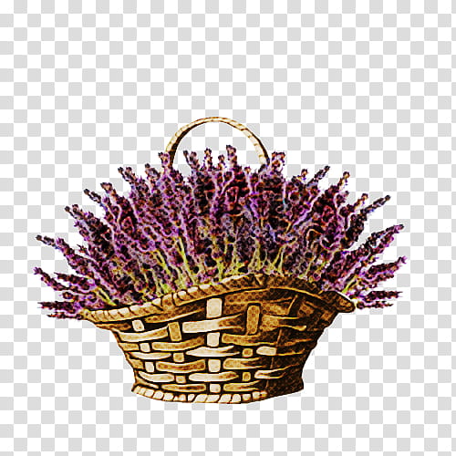 Lavender, Purple, Flower, Violet, Plant, Flowerpot, Gift Basket, Wicker transparent background PNG clipart