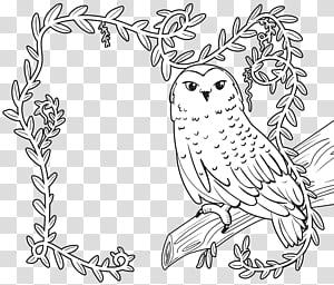 Bird Line Drawing, Enchanted Forest, Coloring Book, Scholastic Book Fairs, Painting, Page, Scholastic Corporation, Line Art transparent background PNG clipart thumbnail