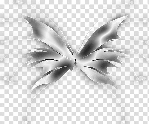 Recursos Alas Hada Y Mariposa  transparent background PNG clipart