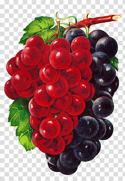 Fruits s, red and purple grape fruit transparent background PNG clipart