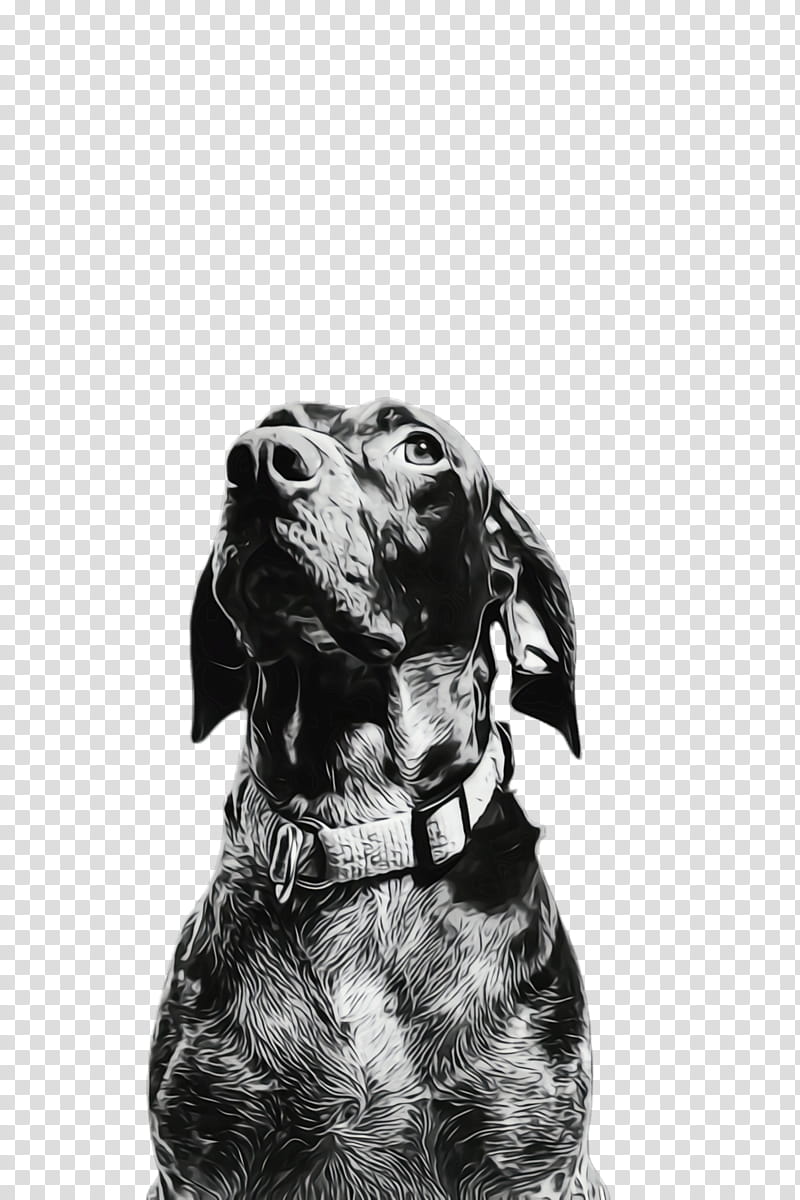 Supreme, Watercolor, Paint, Wet Ink, Iphone X, Iphone Xr, Apple Iphone Xs Max, Dog transparent background PNG clipart