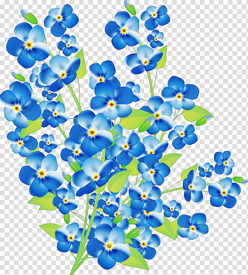 blue flower plant borage family transparent background PNG clipart