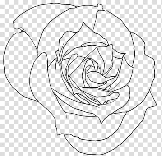 Rose Screentone , black rose sketch transparent background PNG clipart