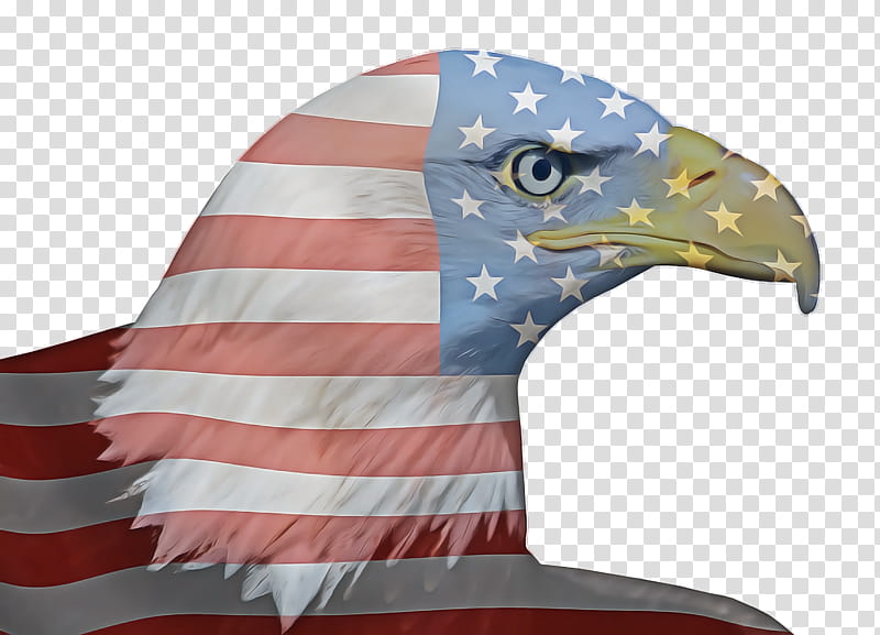 Veterans Day United States, Fourth Of July, 4th Of July, Independence Day, American Flag, Eagle, Beak, Bird transparent background PNG clipart