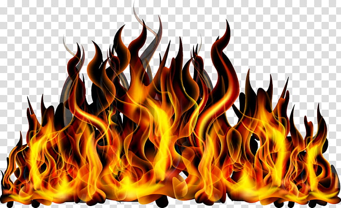 Flame, Fire, Cool Flame, Combustion, Heat transparent background PNG clipart