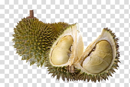 Resources ,  durian icon transparent background PNG clipart
