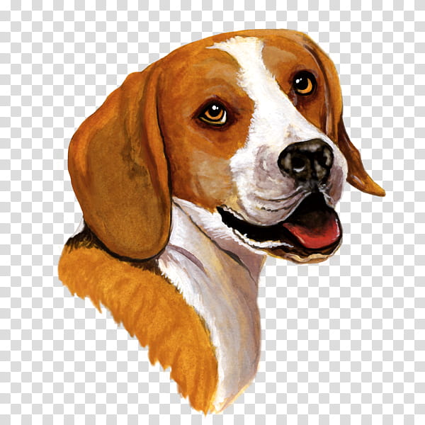 American Bulldog, Beagle, Yorkshire Terrier, Bernese Mountain Dog, St Bernard, Boston Terrier, Breed, Pet transparent background PNG clipart