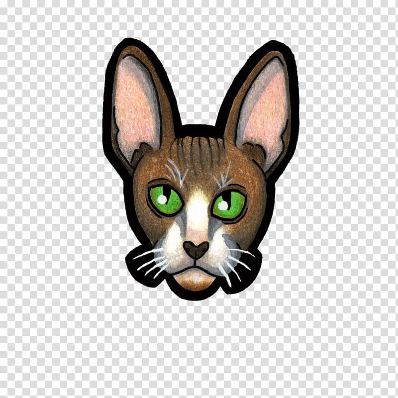 Kitten, Whiskers, Cornish Rex, Abyssinian Cat, Paw, Breed, Tail, Snout transparent background PNG clipart