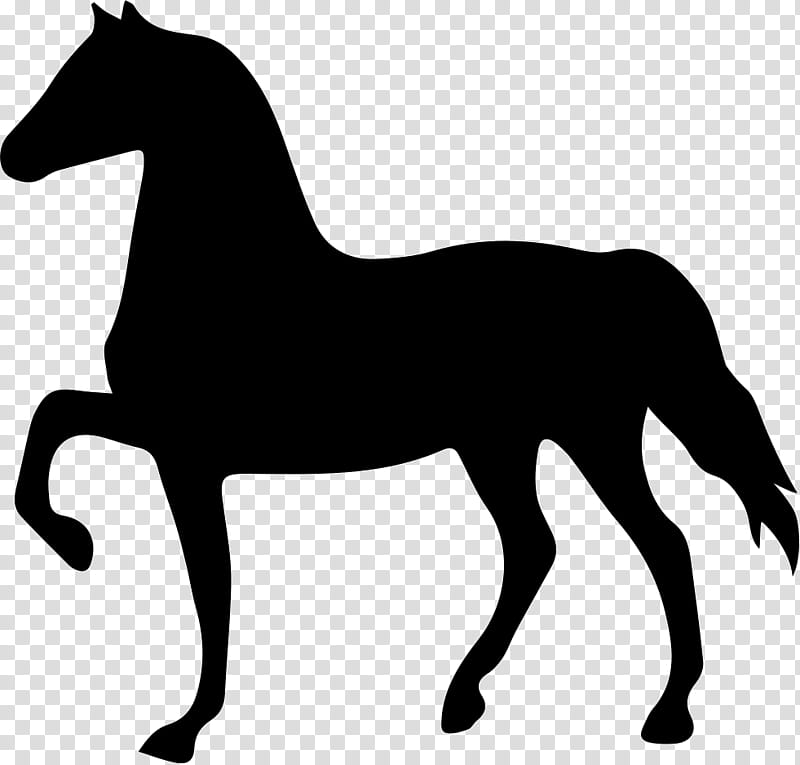 Horse, Friesian Horse, Tennessee Walking Horse, Arabian Horse, Shire Horse, Clydesdale Horse, American Paint Horse, Morgan Horse transparent background PNG clipart
