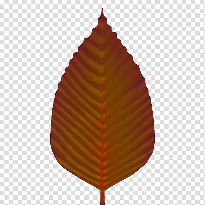 Lots A Leaves  transparent background PNG clipart