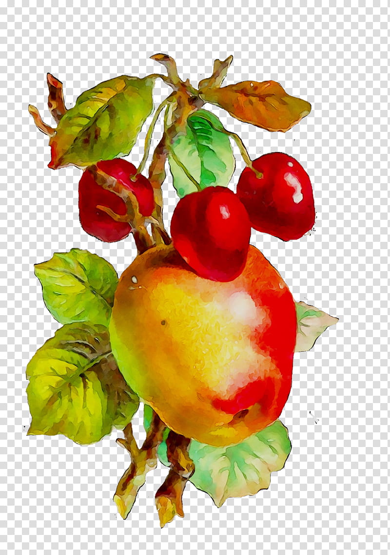 Tree Of Life, Food, Still Life , Vegetable, Pomegranate, Rose Hip, Natural Foods, Local Food transparent background PNG clipart