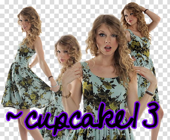 Taylor Swift LOGO transparent background PNG clipart